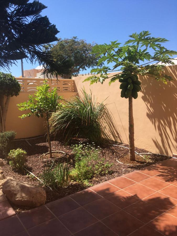 Independiente Estudio En Acogedora Casita De Mai Costa Adeje  Exterior foto